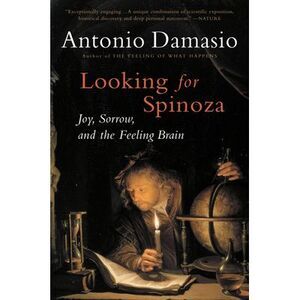 Looking for Spinoza: Joy, Sorrow, and the Feeling Brain -- Antonio Damasio